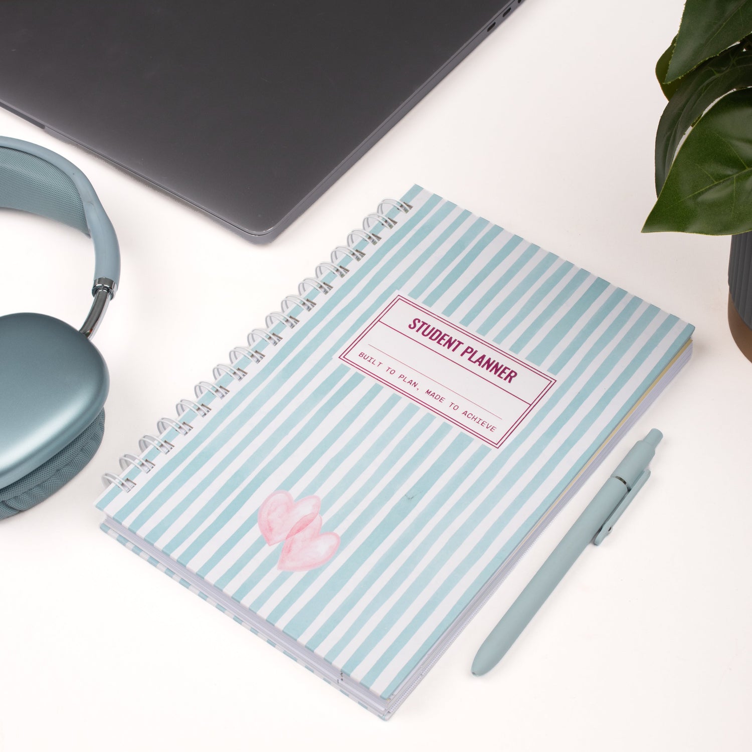 School essentials