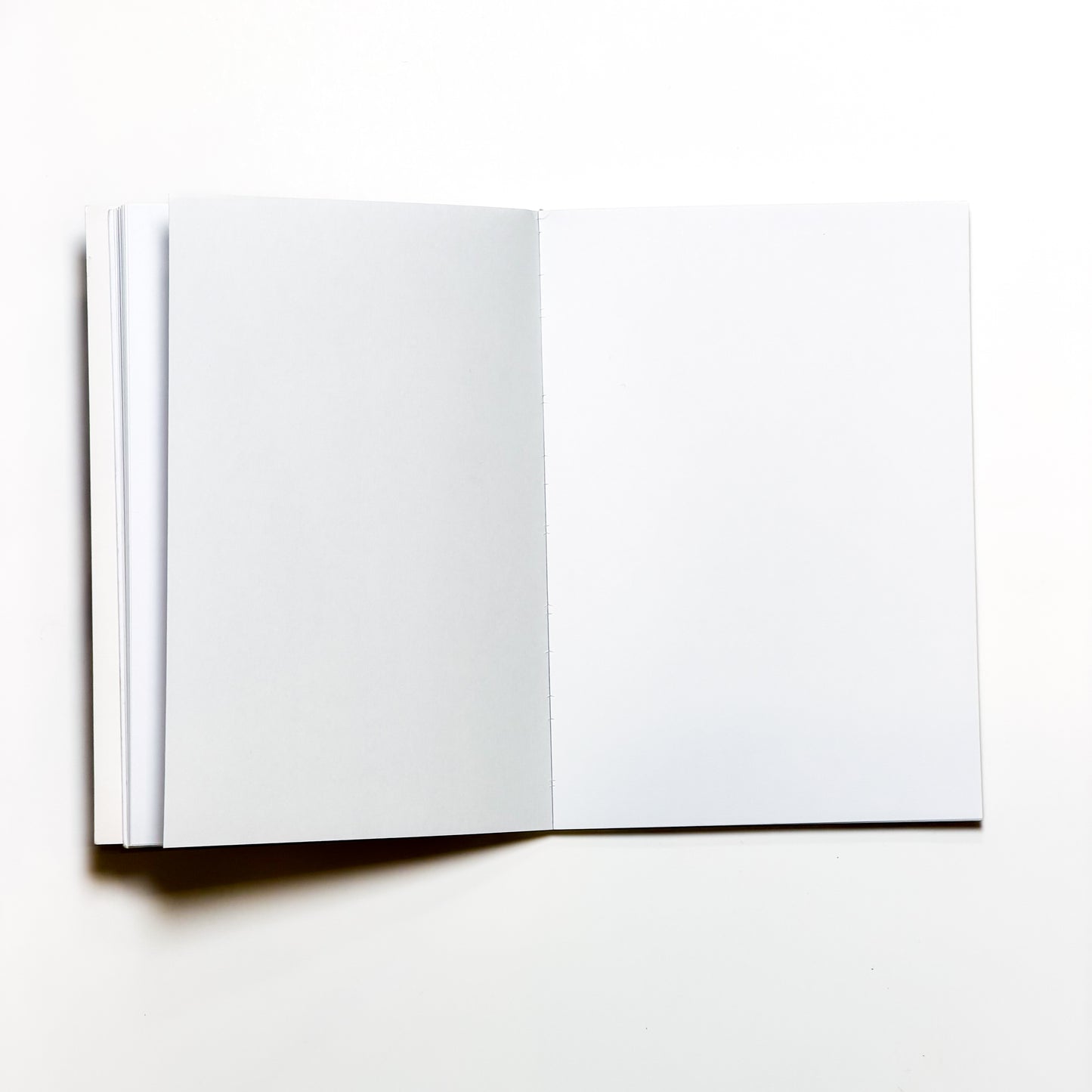 Notes & Scribbles Notebook